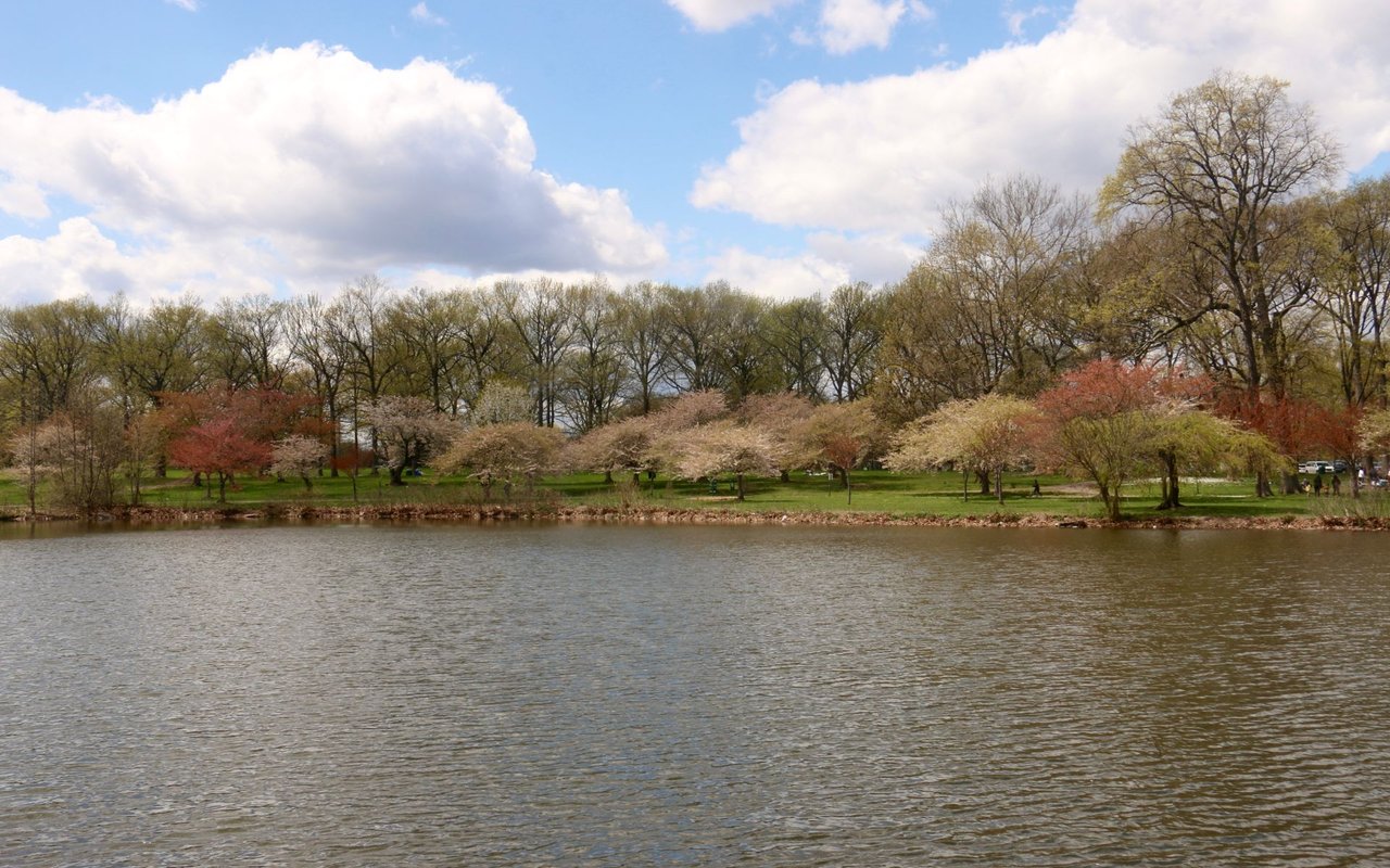 Roselle Park